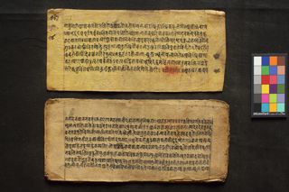 Amarakośa folio 3