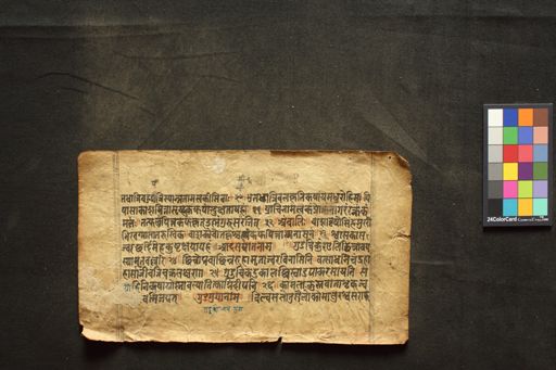 Madanapāla-nighaṇṭu manuscript preview