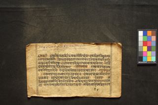 Madanapāla-nighaṇṭu folio 3