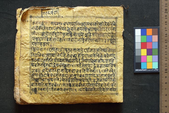 Gadadarpaṇa manuscript preview