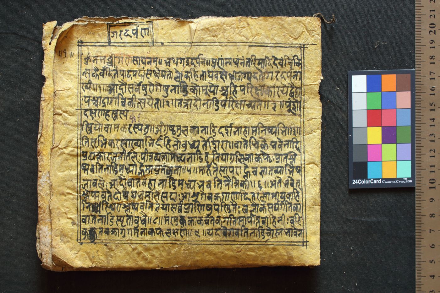 Gadadarpaṇa manuscript preview