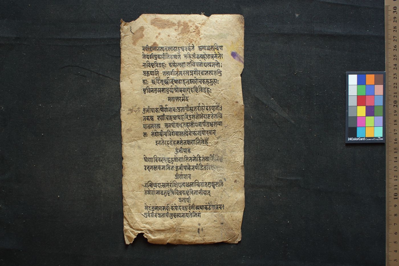 Mādhavanidāna manuscript preview