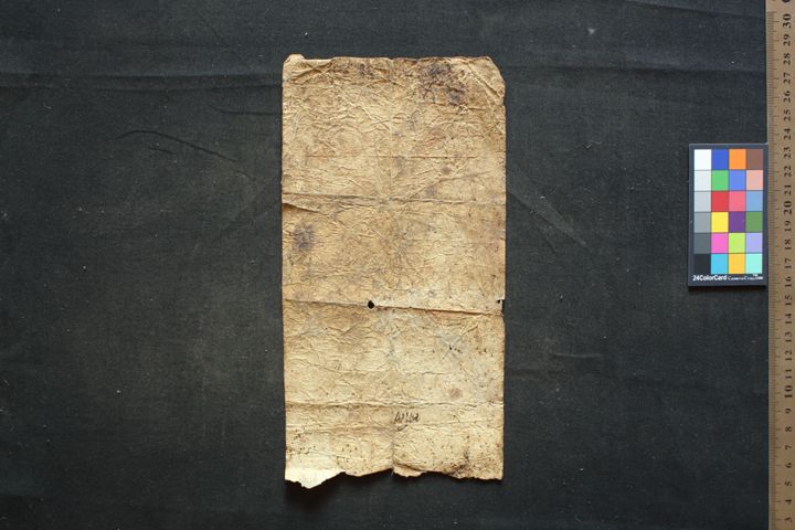 Rasaśāstra Cikitsā manuscript preview