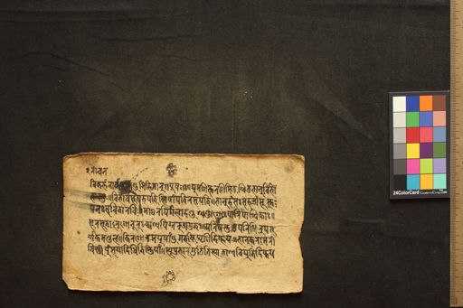 Amarakośa manuscript preview