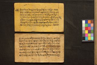Amarakośa folio 3