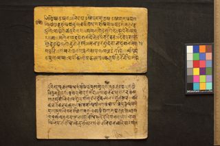 Amarakośa folio 4